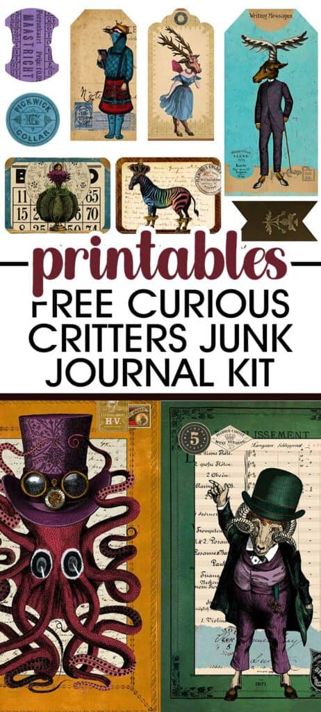 Curious Critters - Unique Free Printables For Junk Journals