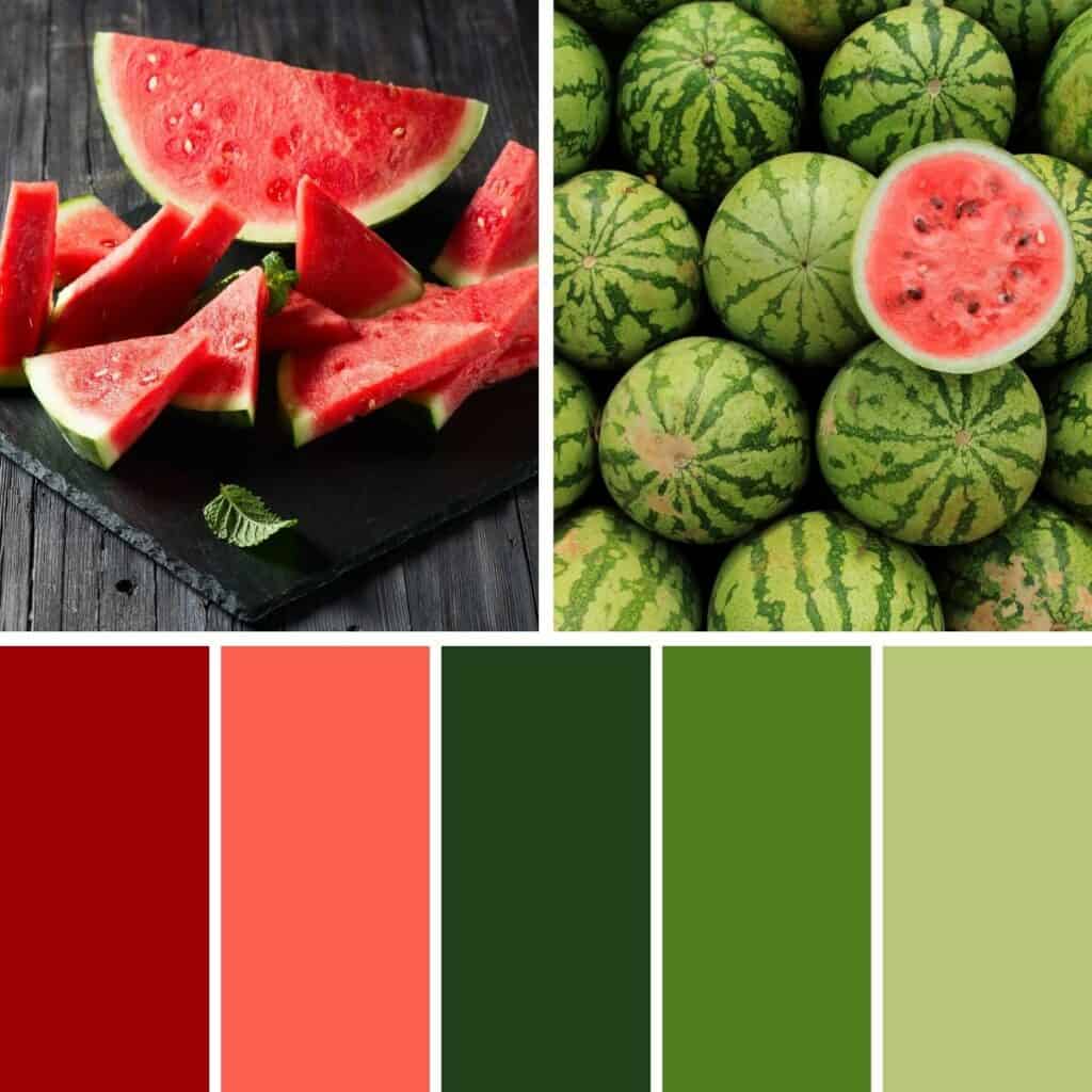 Watermelon Green and Red - Summer Color Palette