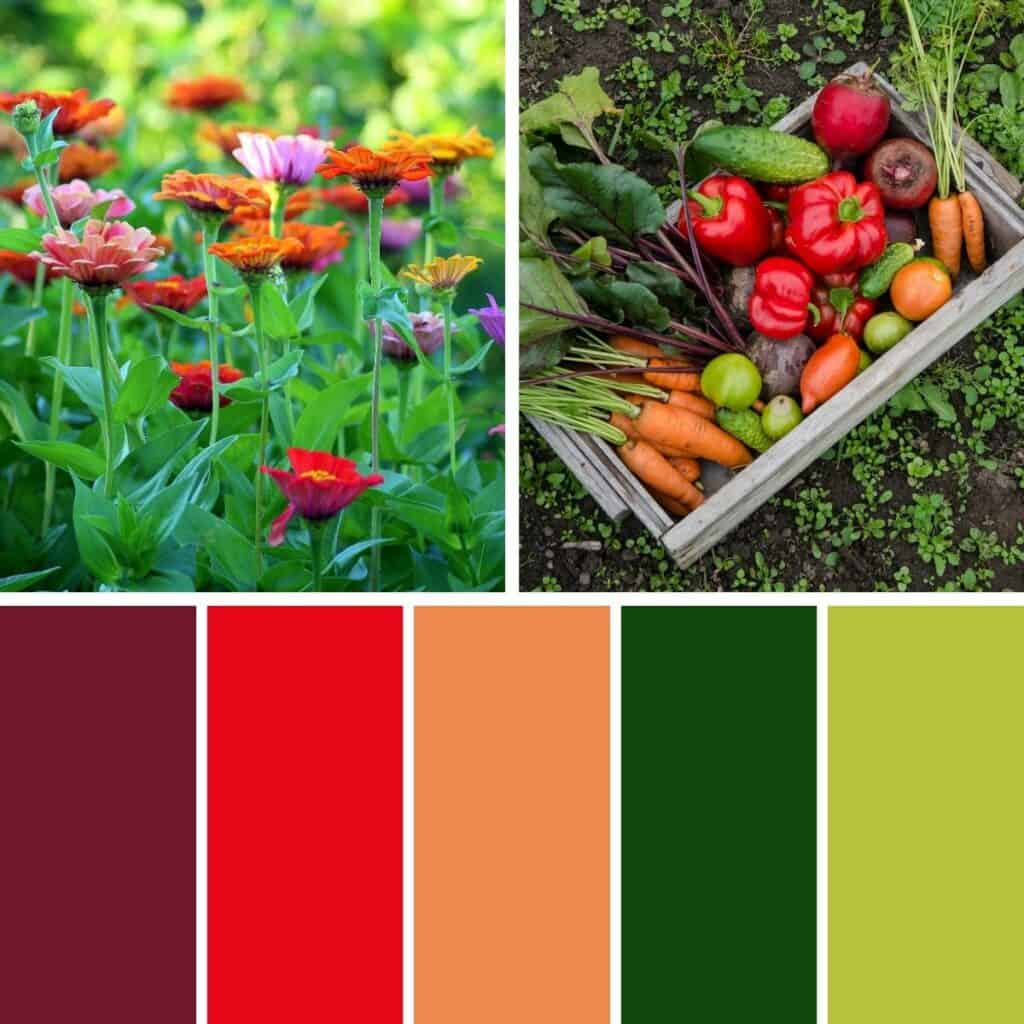 Gardening Flowers and Vegetables - Summer Color Palette