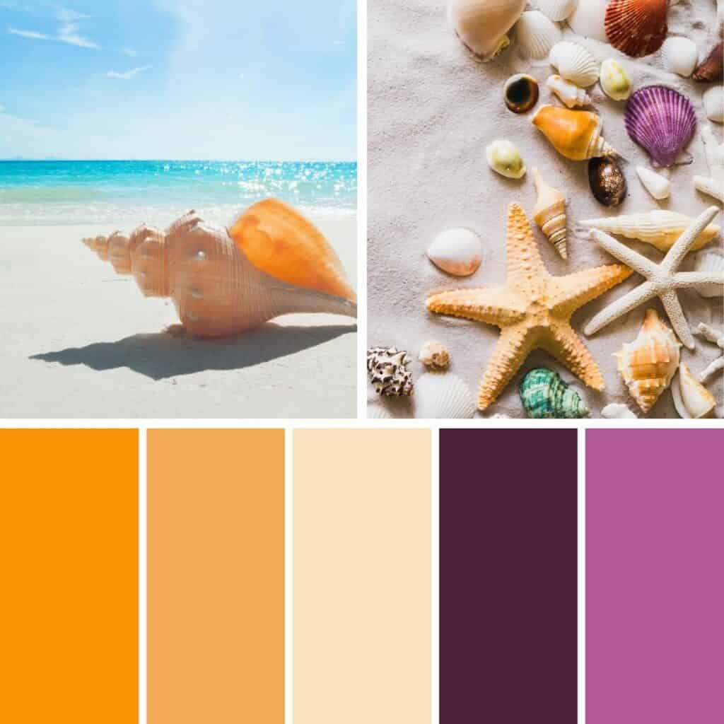 Seashore and Sea Shells - Summer Color Palette