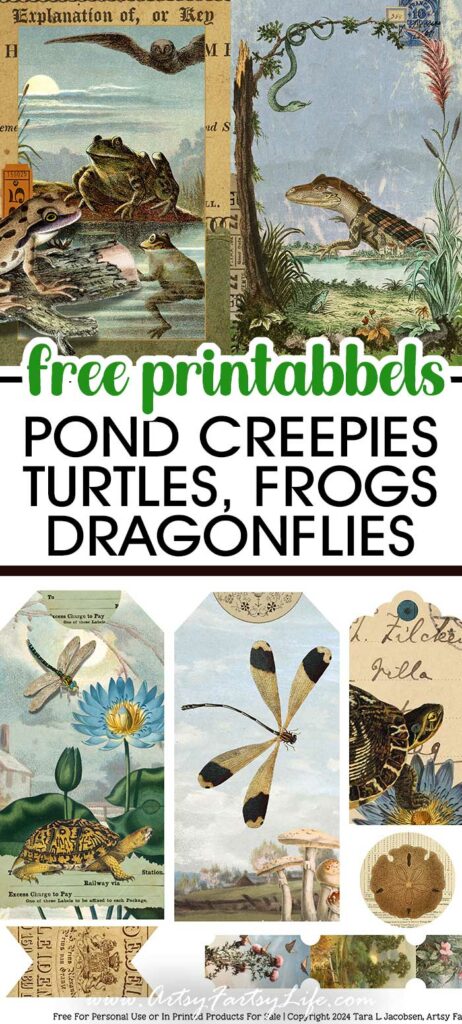 Free Printable Pond Creepies Junk Journal Kit