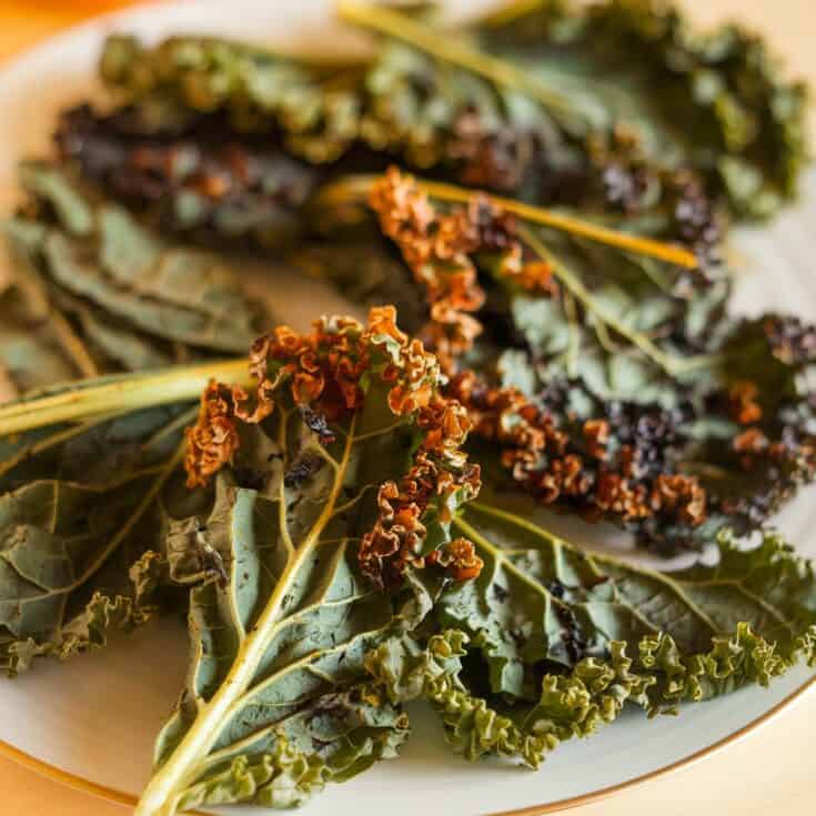 Low Carb and Keto Air Fryer Kale Chips Recipe