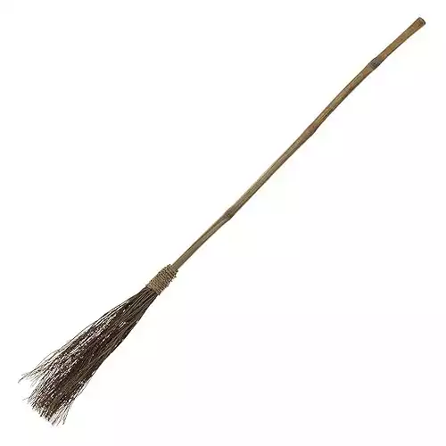 Witch Broom