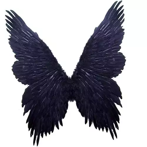 Super Large Feather Fairy Angel Wings