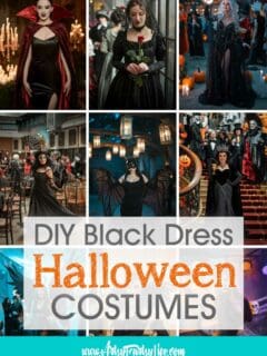 15 Black Dress DIY Halloween Costume Ideas