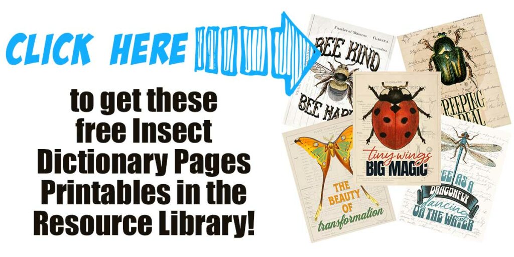 5 Free Printable Vintage Insect Pages