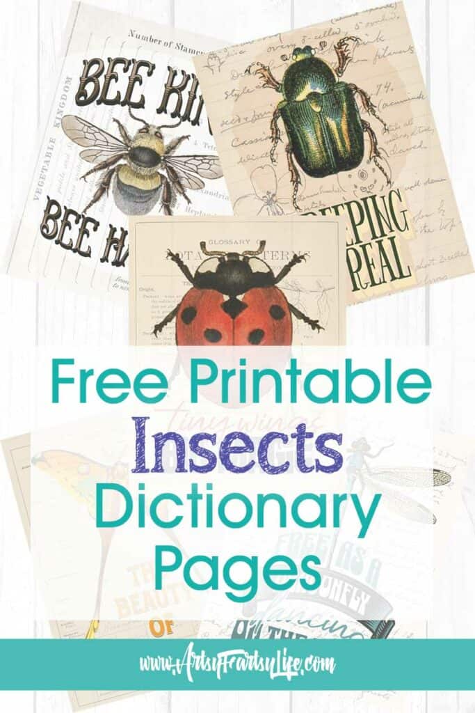 5 Free Printable Vintage Insect Pages