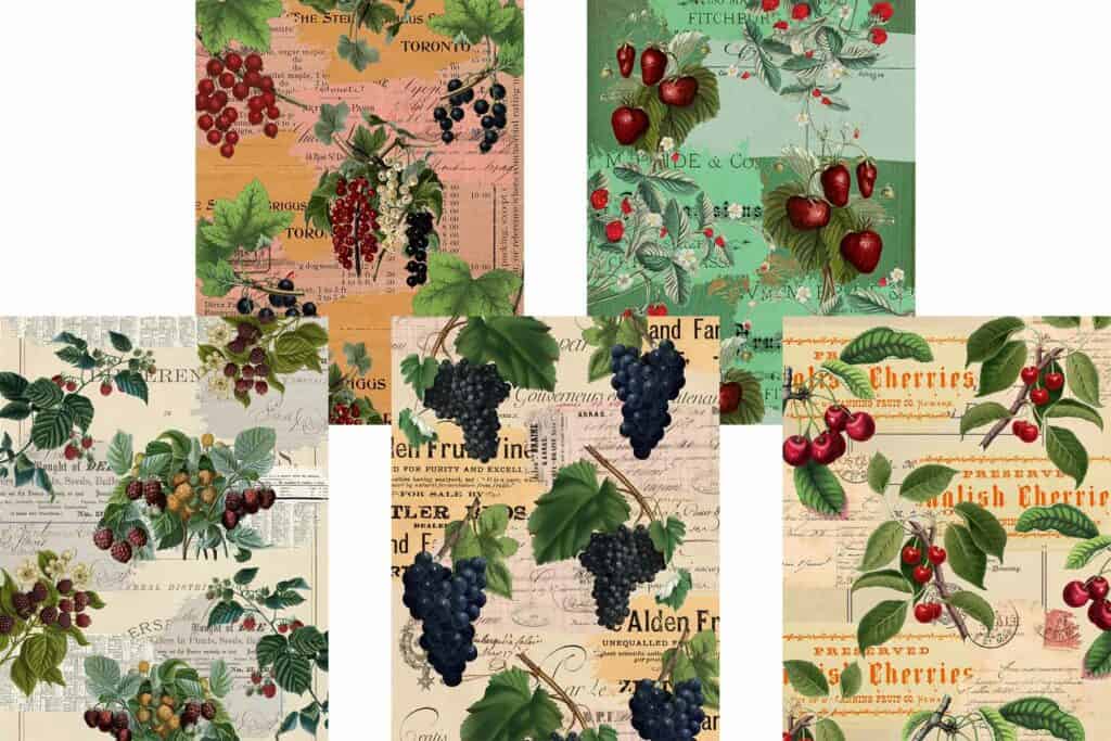Free Summer Fruits Vintage Background Collage Pages (Berries and Grapes) Free Summer Fruits Vintage Background Collage Pages (Berries and Grapes)