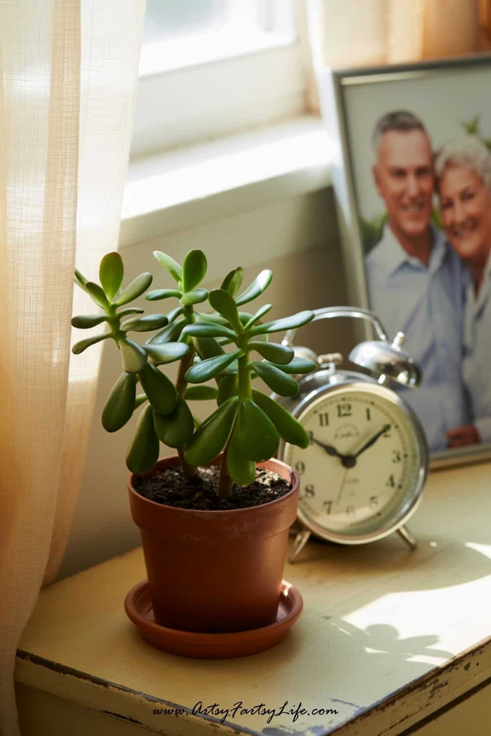 Ultimate Gift Guide for Seniors: 30+ Ideas They’ll Truly Love (and Actually Use!) Ultimate Gift Guide for Seniors: 30+ Ideas They’ll Truly Love (and Actually Use!)