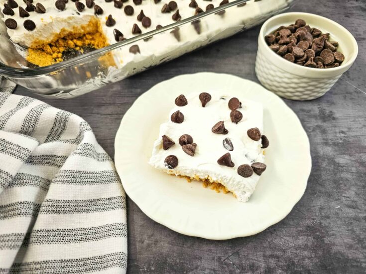 No-Bake Chocolate Chip Cheesecake - An Old Fashioned Crowd-Pleaser!
