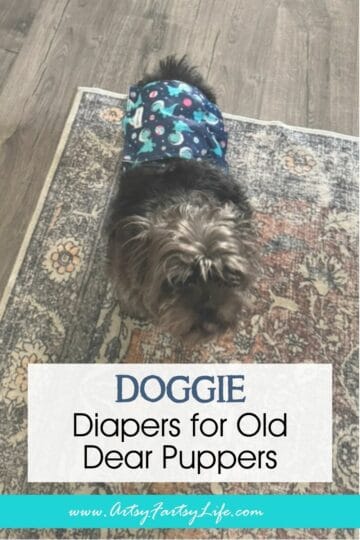How Putting Diapers On Our Old Dogs Saved Our Sanity