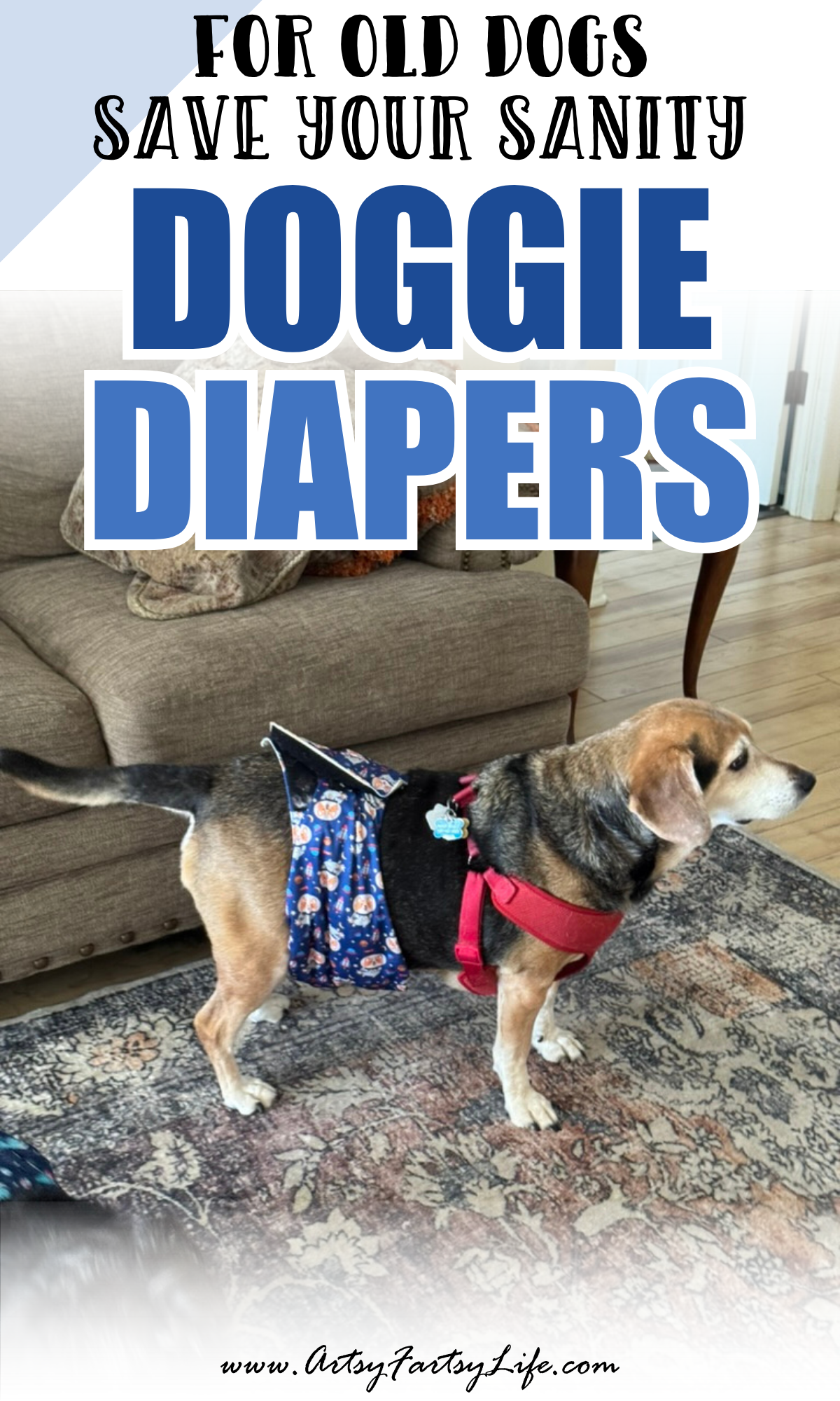 How Putting Diapers On Our Old Dogs Saved Our Sanity