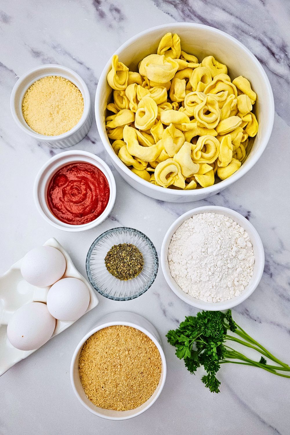 Crispy Parmesan Breaded Tortellini Bites - Easy Party Appetizer!
