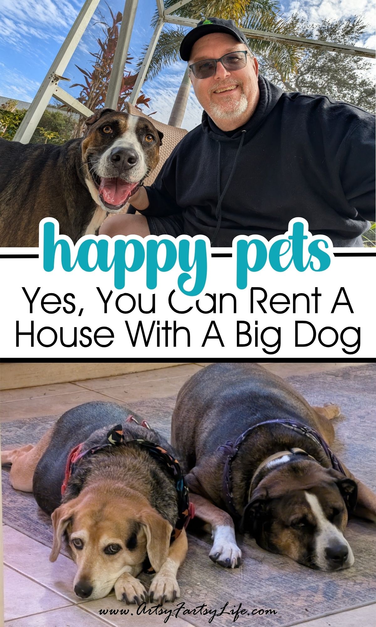Yes, You Can Rent A House With A Big Dog - Here's Our Exact Strategy