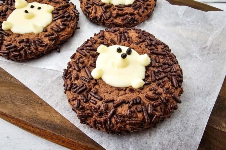 Wicked Cute Hedgehog Cookies - Easy Cake Mix Cookies Recipe to Try Today!